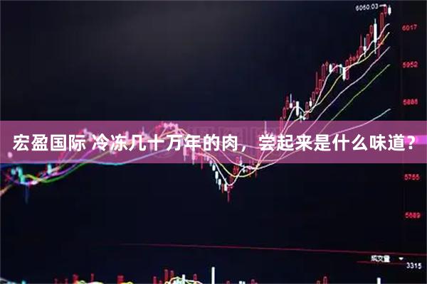宏盈国际 冷冻几十万年的肉，尝起来是什么味道？