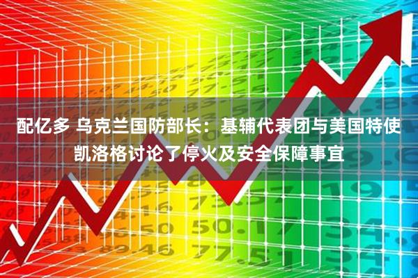 配亿多 乌克兰国防部长：基辅代表团与美国特使凯洛格讨论了停火及安全保障事宜