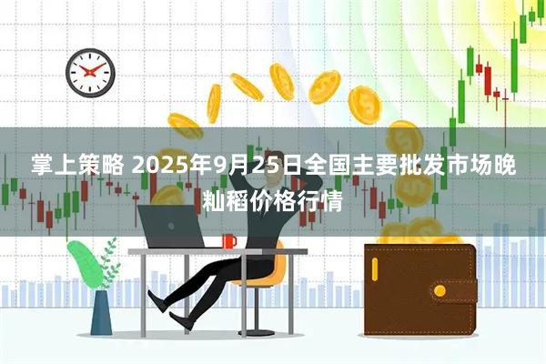 掌上策略 2025年9月25日全国主要批发市场晚籼稻价格行情