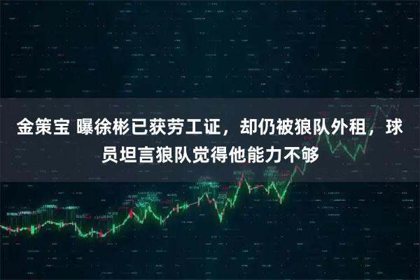 金策宝 曝徐彬已获劳工证，却仍被狼队外租，球员坦言狼队觉得他能力不够